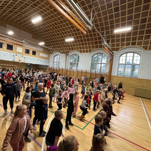 Motionsdag