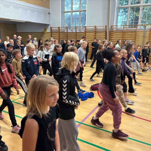 Motionsdag