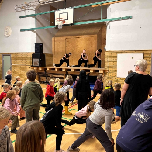 Motionsdag