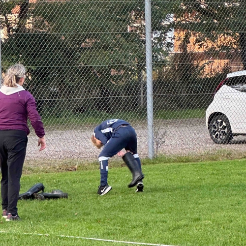 Motionsdag